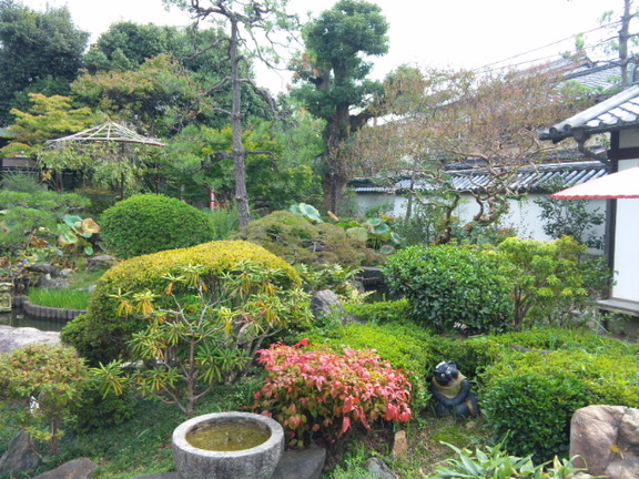十輪院 庭