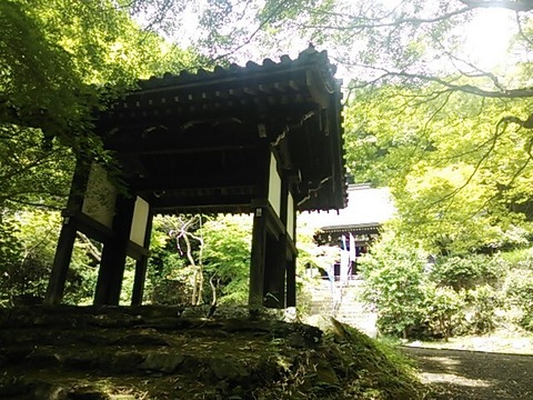 東明寺 山門