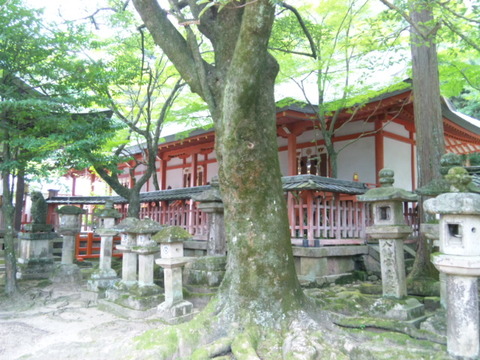 手向山八幡宮 本殿