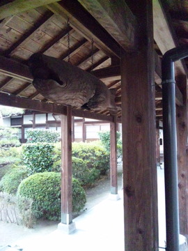 法雲寺 回廊の魚梛