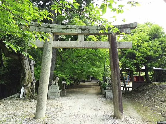 春日神社 鳥居
