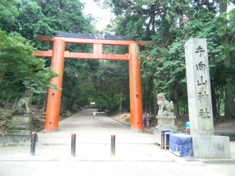手向山八幡宮 鳥居と社号標