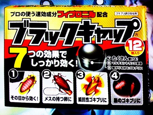24ブラック