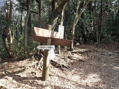 P3030024