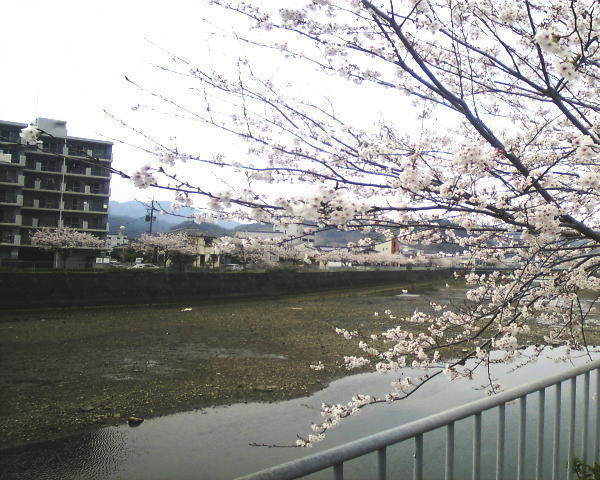 080404a