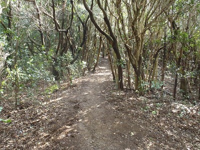 P3030023