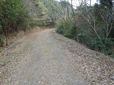 P1140015
