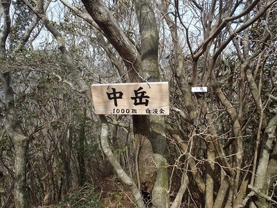 P3030032