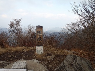 120103