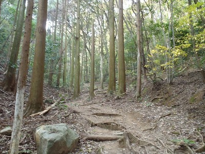 P1090001