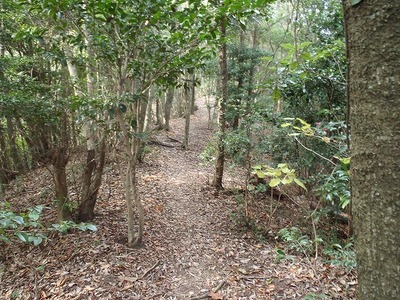 P1140004