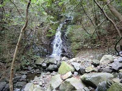 CIMG0001