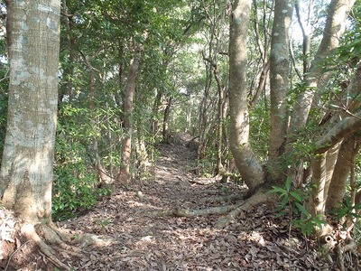 P1090011