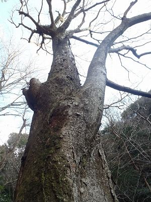 P1030006