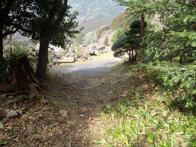 P3030046