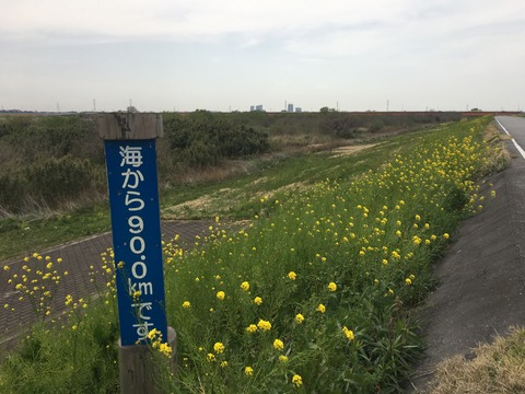 ファイル_006