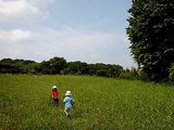 26f8b438.jpg