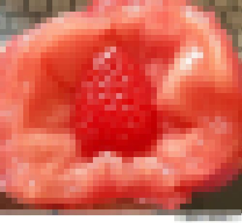 トマト イチゴ ストロマトに関連した画像-01