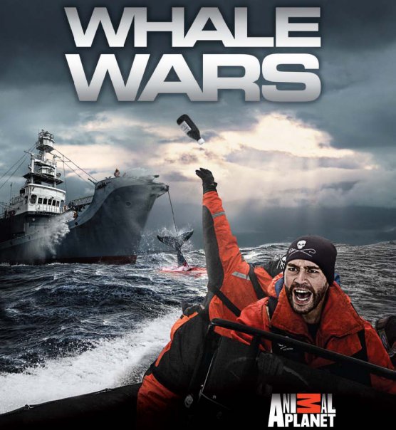whale-wars