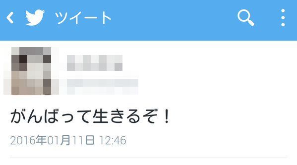 猫 死にたがり 猫 飼う ペット 生きる目的 にゃん吉に関連した画像-05