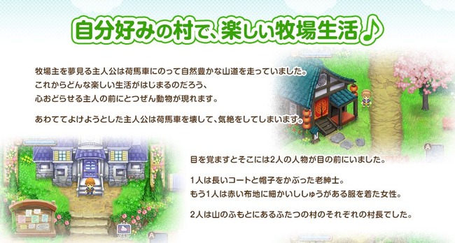 牧場物語 ふたごの村 予約 Amazonに関連した画像-04