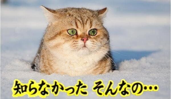 ¥¦¥£¥ó¥Ê¡¼¡¡Ä´ÍýÊýË¡¤Ë´ØÏ¢¤·¤¿²èÁü-01