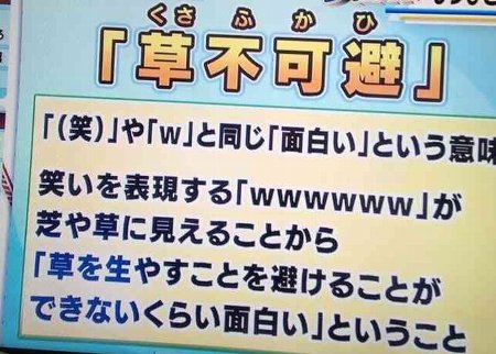 草不可避に関連した画像-01