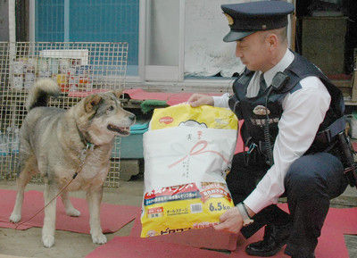 犬 飼い主 救出に関連した画像-03