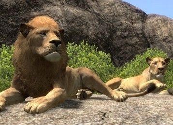 AFRIKA