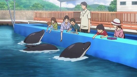 イルカショー日本謝罪に関連した画像-01
