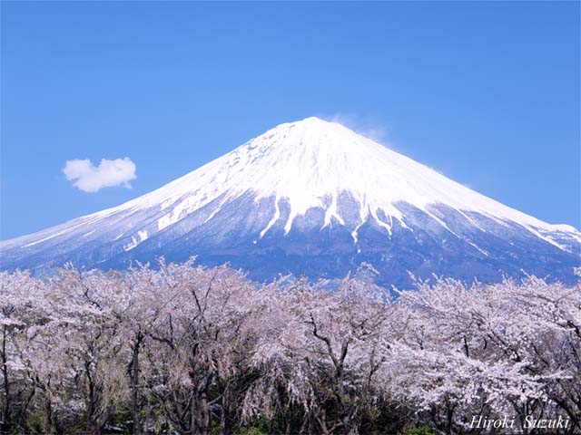 fujisan
