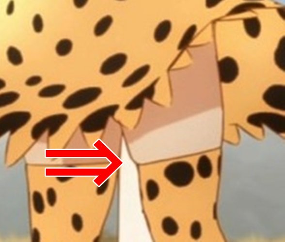 けものフレンズ サーバル スタッフ こだわり に関連した画像,03