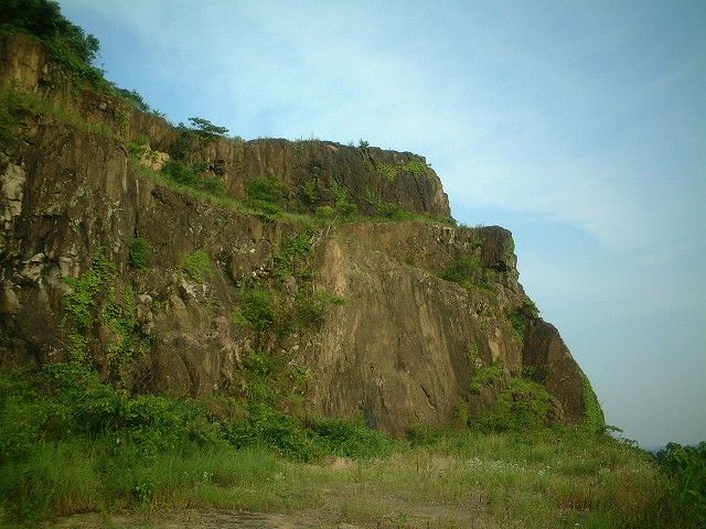 IMG00000284can4