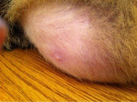 o0480035911863414480