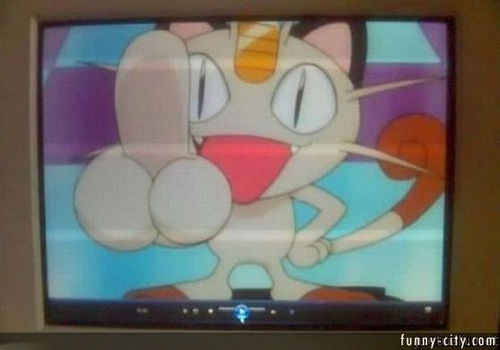 07
