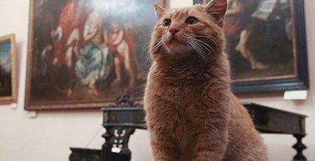 エイプリルフール 猫 従業員 本当 美術館 ロシアに関連した画像-01