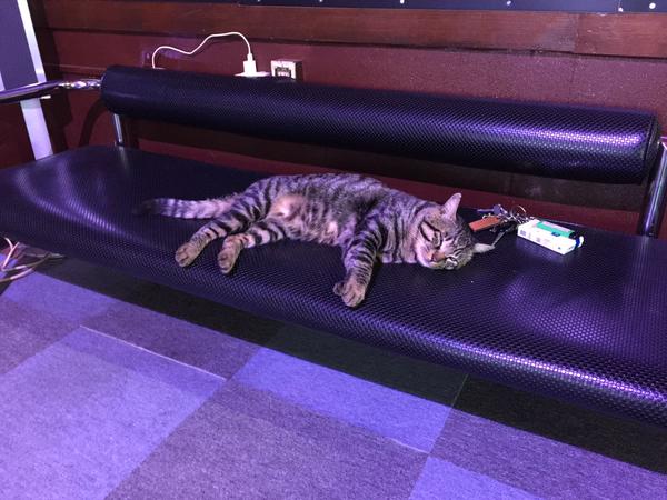 ǭ�������ॻ�󥿡��˴�Ϣ��������-01