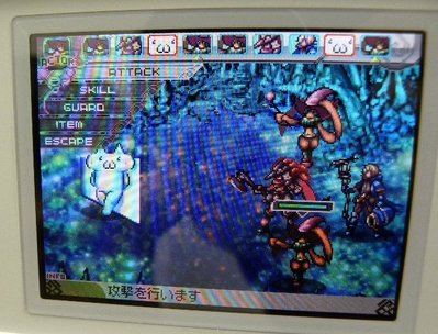 まこ5