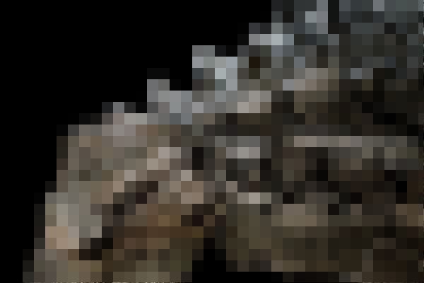 ミイラ化 恐竜 化石に関連した画像-01