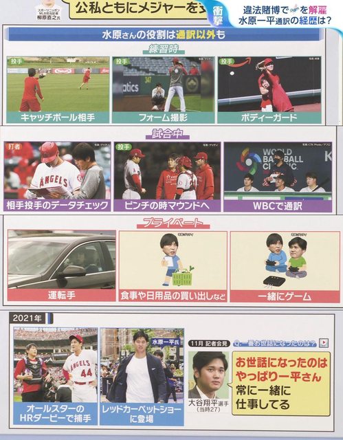 NHKɎX 222511 j[X[ ->摜>12 