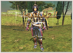 FF11