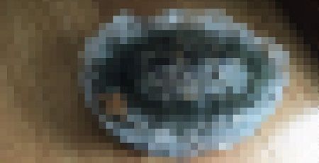 µµ¡¡É¹ÄÒ¤±¡¡¤«¤á¤¸¤í¤¦¡¡À¸Ì¿ÎϤ˴ØÏ¢¤·¤¿²èÁü-01