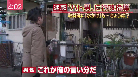 記者 鳩 餌やりおじさん 愛知に関連した画像-03