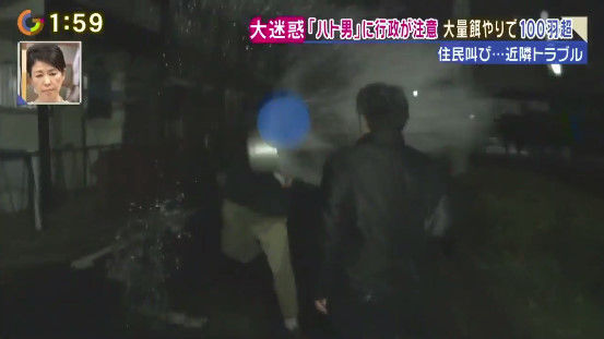 記者 鳩 餌やりおじさん 愛知に関連した画像-11