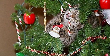 クリスマスツリー 猫 ネコ 対策に関連した画像-01