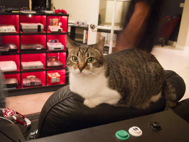 video-game-collection-6