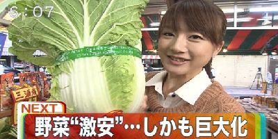 【総合】 飲料・食品総合スレッド41 	YouTube動画>3本 ->画像>14枚 