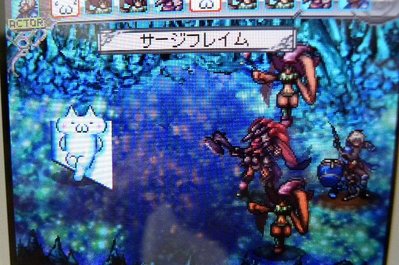 まこ4