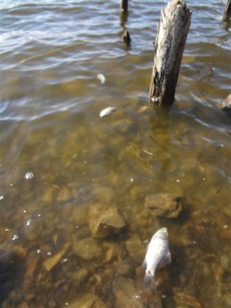 20120127-00000047-san-000-4-view