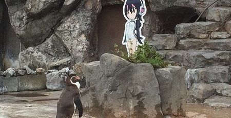 けものフレンズ 東武動物公園 夏休み コラボ パネル に関連した画像-01